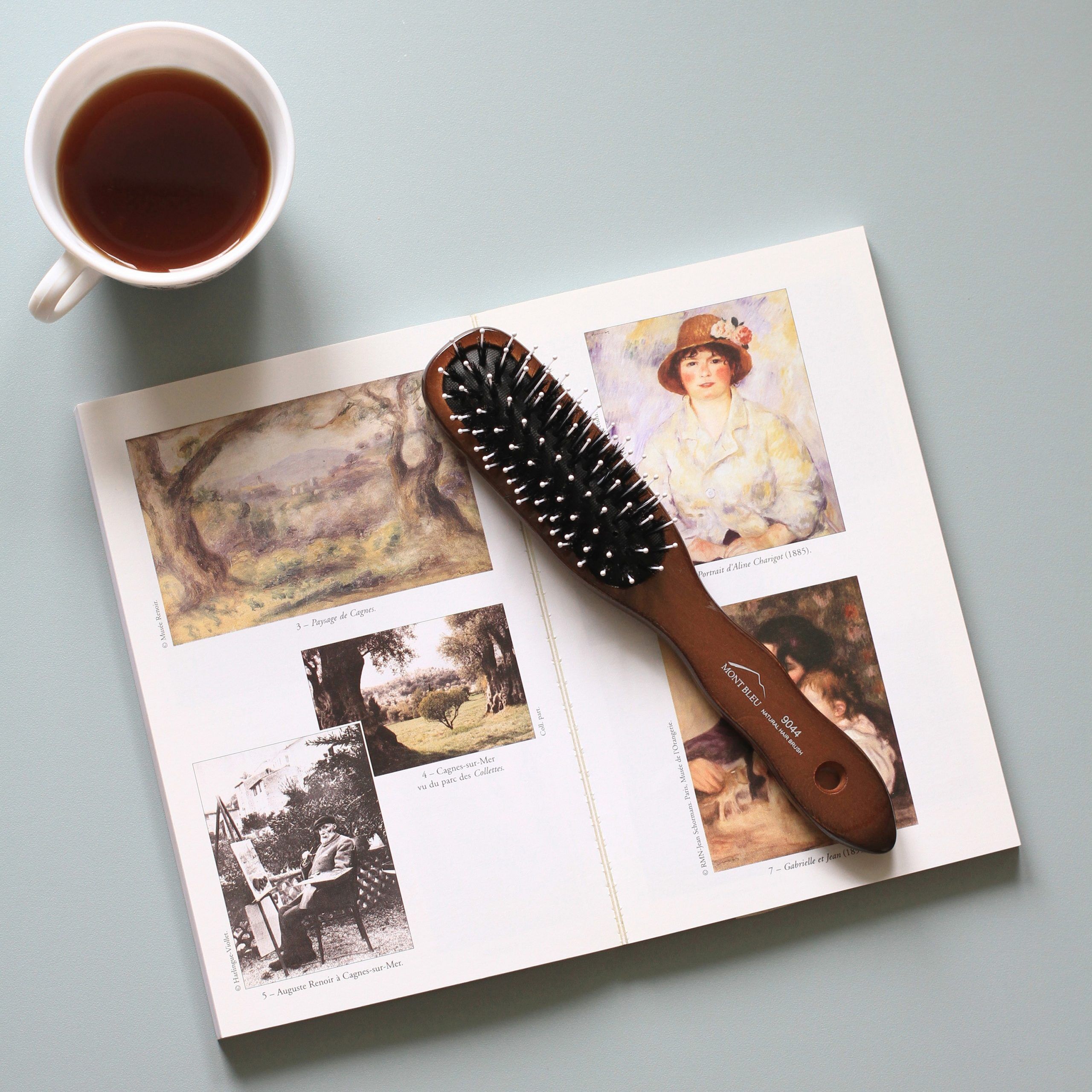 Mont Bleu Wood Hair Brush with Boar Bristles and Swarovski Crystals - Corals